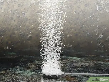 Измерение температуры воды в пруду, шаг 12