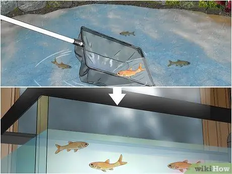 Измерение температуры воды в пруду, шаг 13