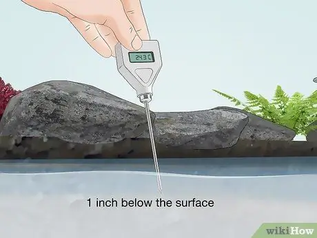 Измерение температуры воды в пруду, шаг 2