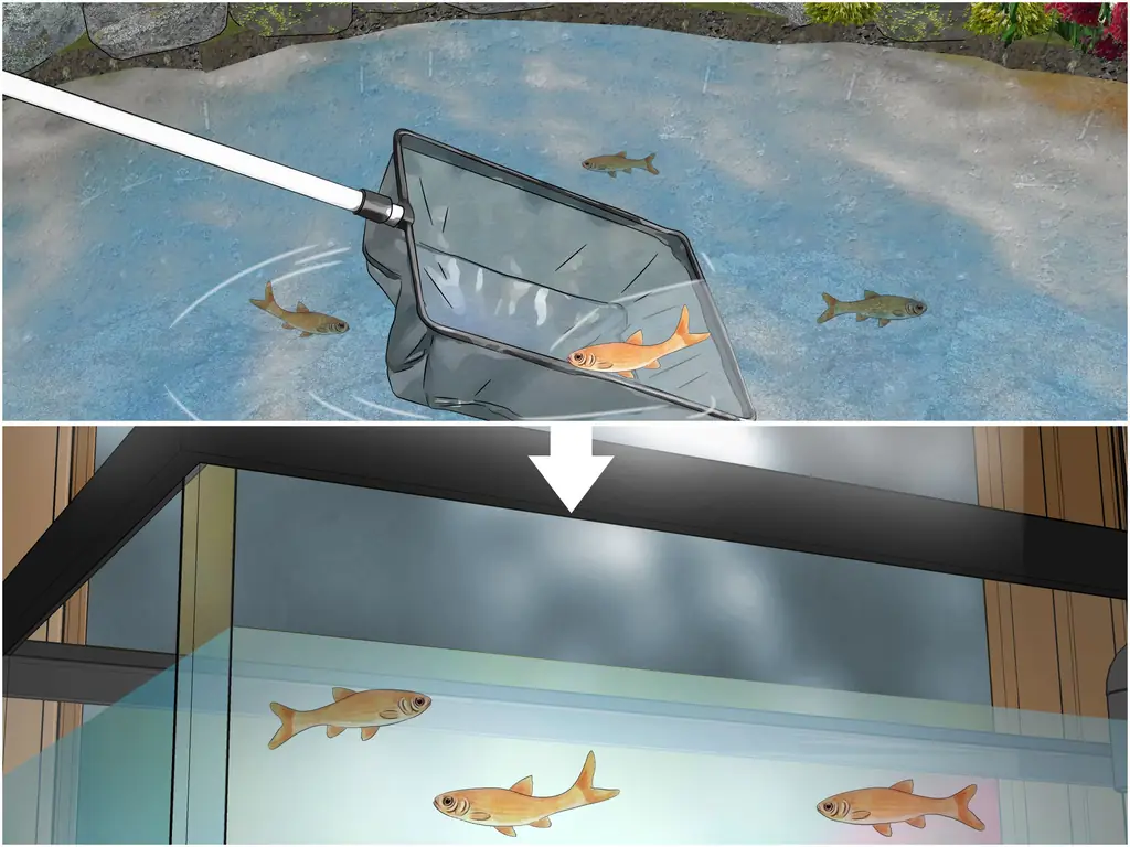 3 простых способа измерения температуры воды в пруду