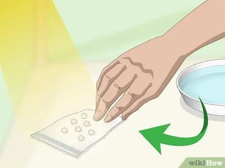 Выращивание кинзы в помещении, шаг 5