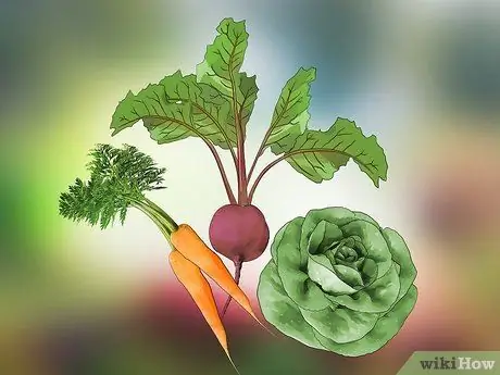 Планирование огорода Шаг 1