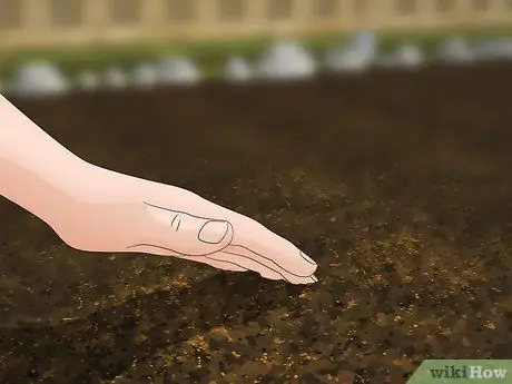 Планирование огорода Шаг 11