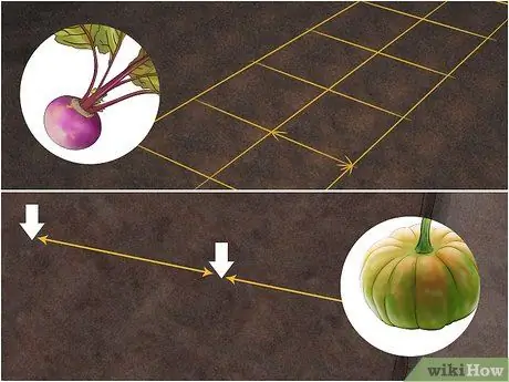 Планирование огорода Шаг 16