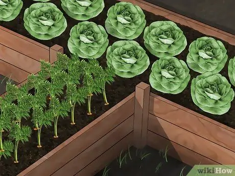 Планирование огорода Шаг 2