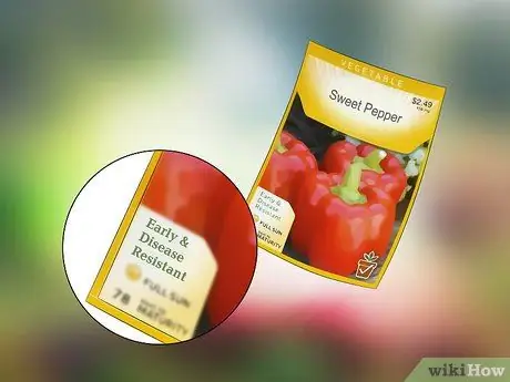 Планирование огорода Шаг 5