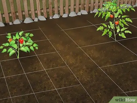 Планирование огорода Шаг 7