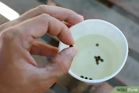 Выращивайте травяные сады из семян, шаг 1