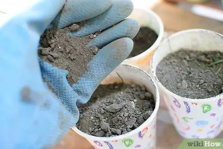 Выращивайте травяные сады из семян, шаг 2