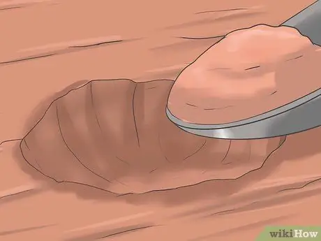 Выращивание астры, шаг 9