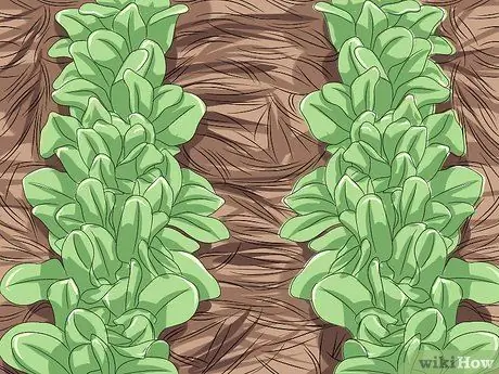 Предотвращение эрозии почвы Шаг 11