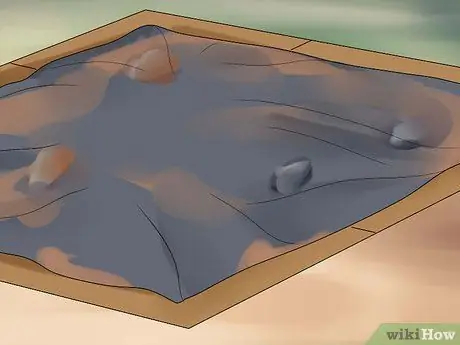 Избавьтесь от растений ядовитого плюща Шаг 9