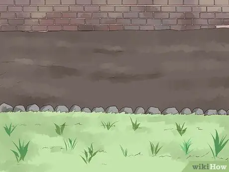 Выращивайте бегонии, шаг 2