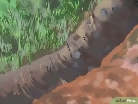 Сделайте траншею Шаг 6