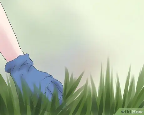 Не допускайте попадания сорняков в огород Шаг 2