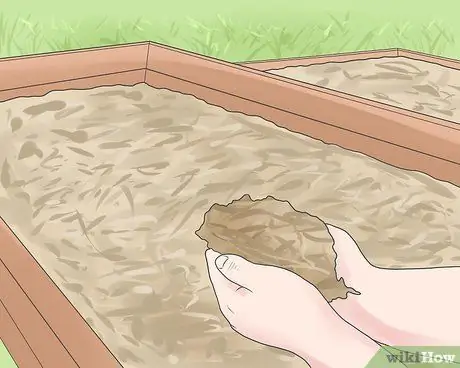 Не допускайте попадания сорняков в огород Шаг 5