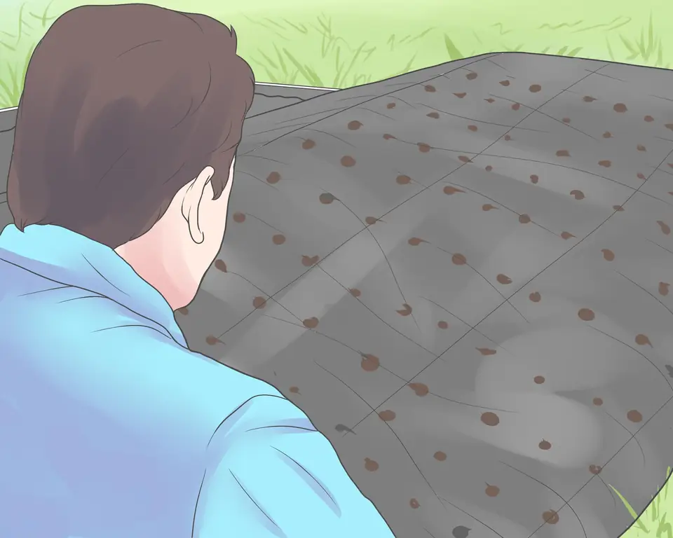 3 способа уберечь свой огород от сорняков