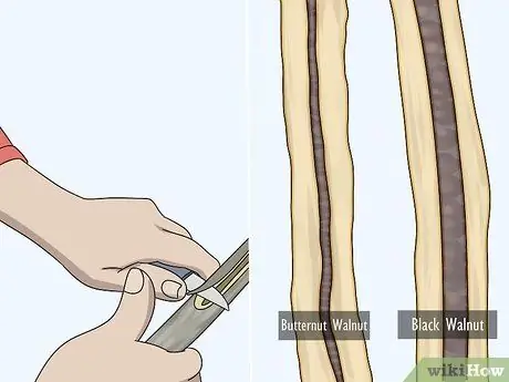 Определите ореховые деревья Шаг 10