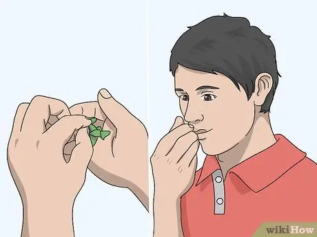 Определите ореховые деревья Шаг 11