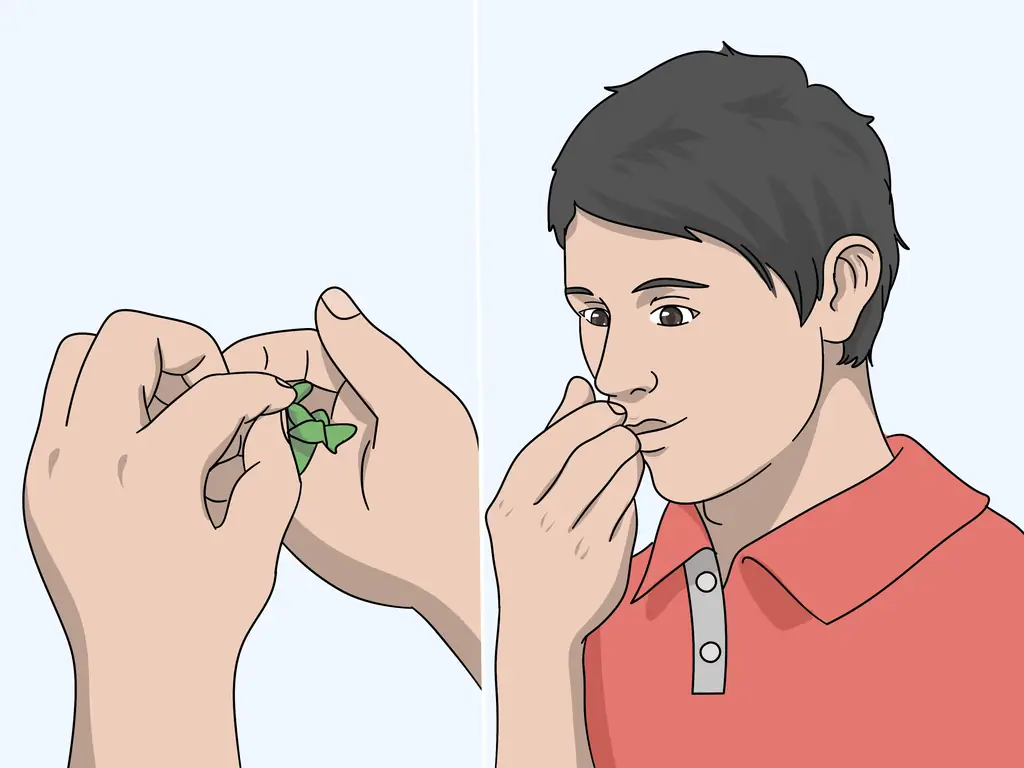 Легкие способы идентифицировать ореховые деревья: 11 шагов (с изображениями)