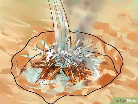 Используйте Fire Starter Шаг 8