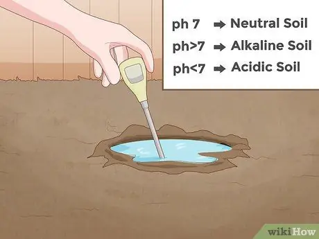 Тестирование pH почвы, шаг 4