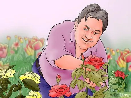 Подготовьте свой сад к зиме Шаг 8