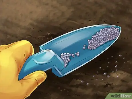 Посадить бархатцы Шаг 22