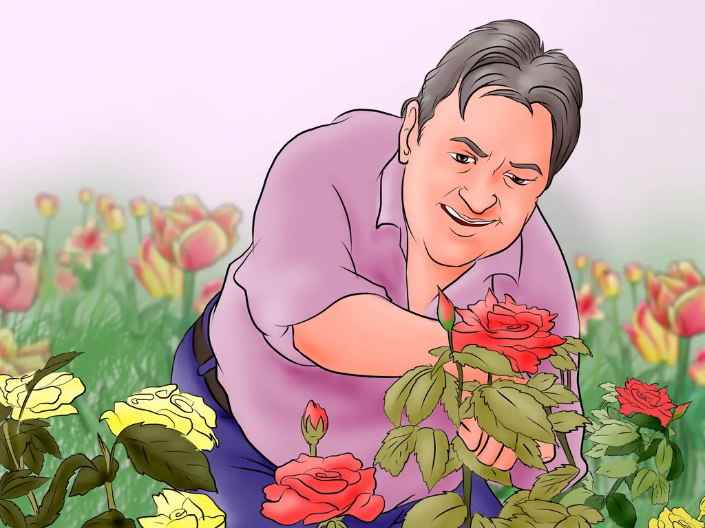 Как садиться (с иллюстрациями)