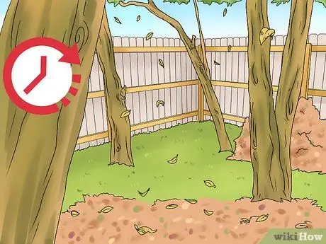 Rake Leaves Step 5 Rake Leaves Step 5
