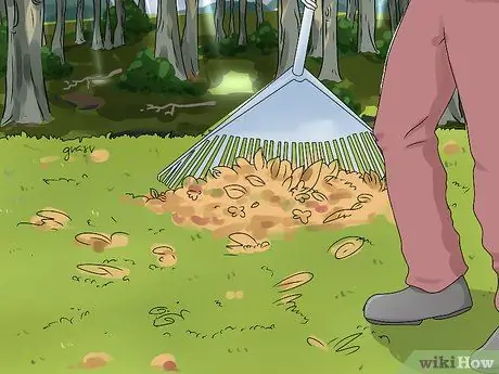 Rake Leaves Step 7 Rake Leaves Step 7