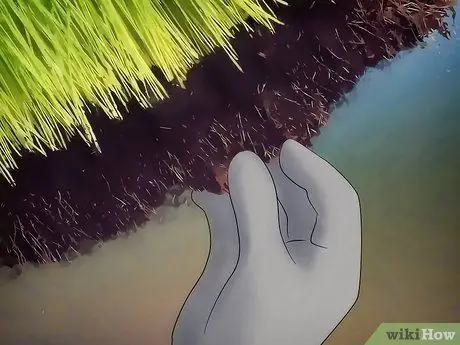 Удаление дерна Шаг 5 Удаление дерна Шаг 5