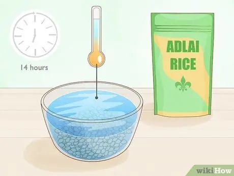 Выращивание риса Адлай Шаг 6