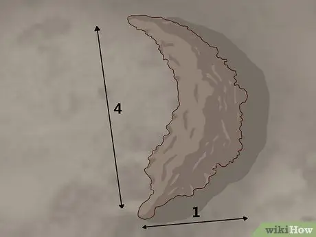 Постройте берму, шаг 1