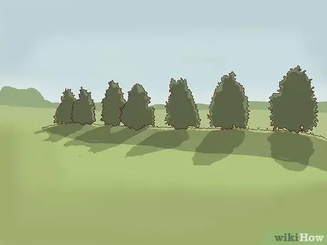 Постройте берму Шаг 8