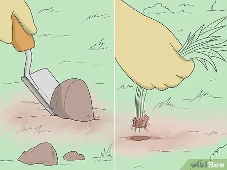 Уровень грязи, шаг 2