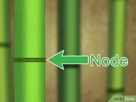 Вырезать бамбук Шаг 2