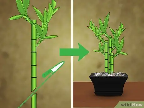 Вырезать бамбук Шаг 5