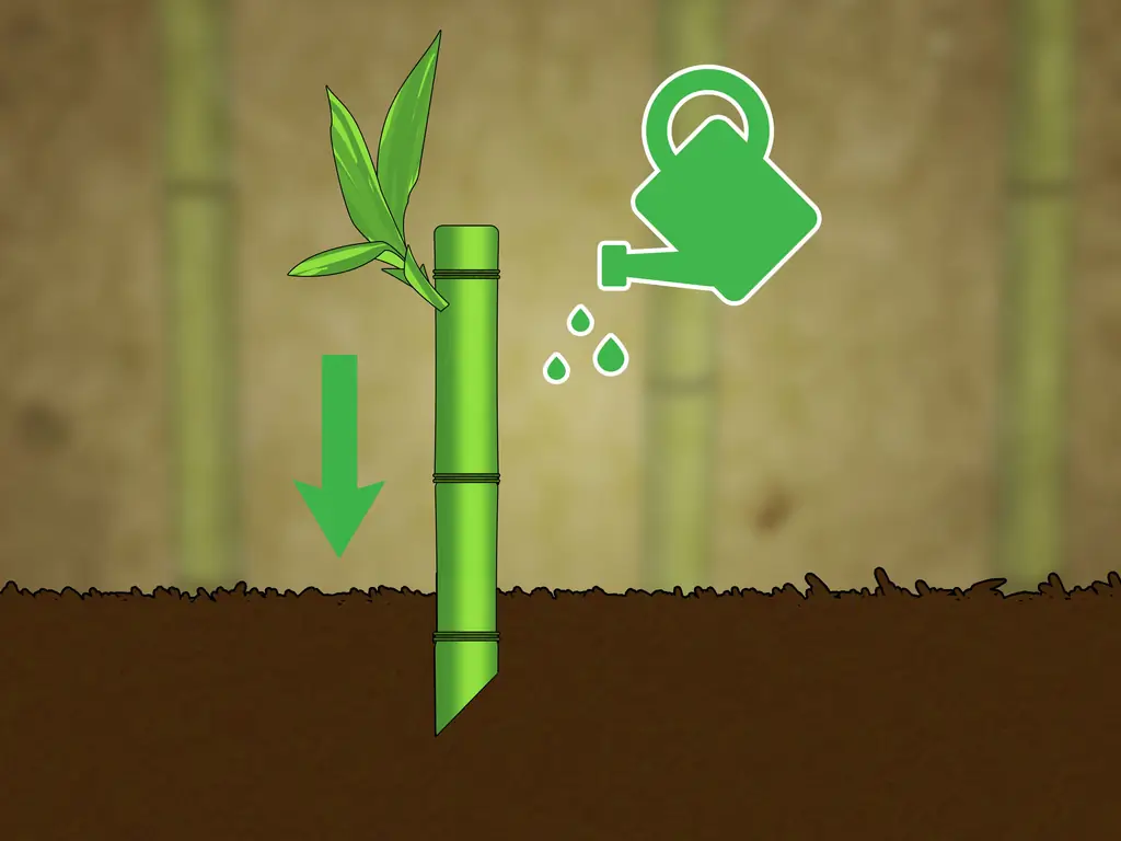 3 способа резки бамбука