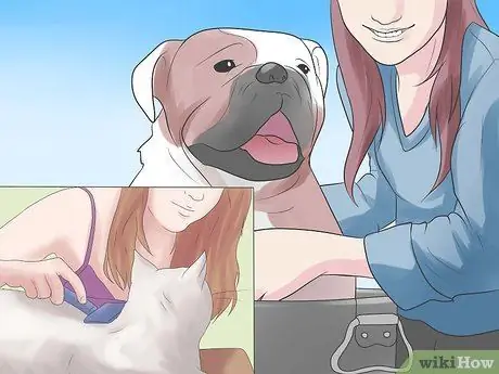 Уменьшите количество пыли в вашем доме Шаг 13