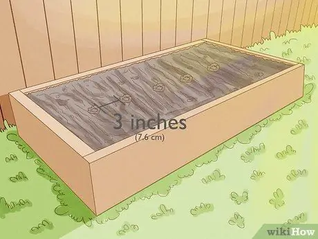 Когда сажать помидоры в Великобритании Шаг 3