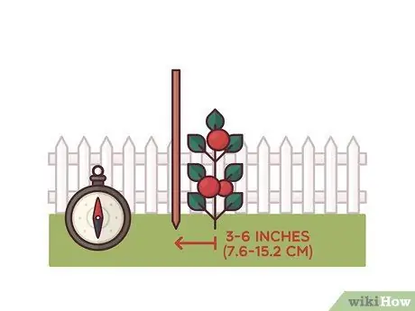 Помидоры на колышках Шаг 3