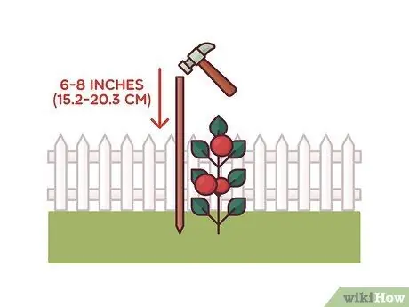 Помидоры на коле Шаг 4