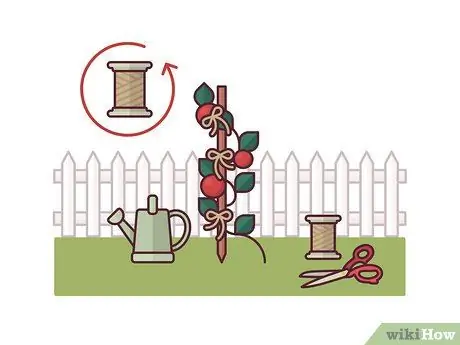 Помидоры на колышках Шаг 6