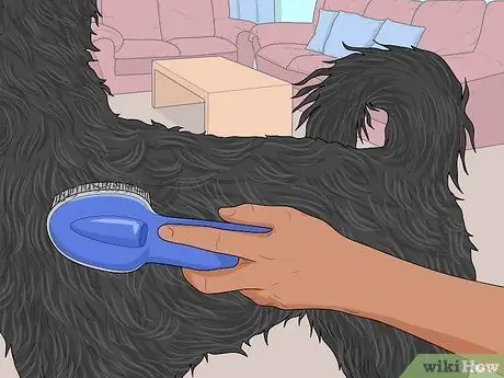 Убрать собачью шерсть с мебели Шаг 9