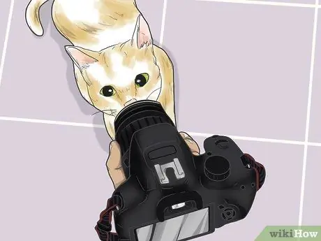 Сфотографируйте домашних животных Шаг 1