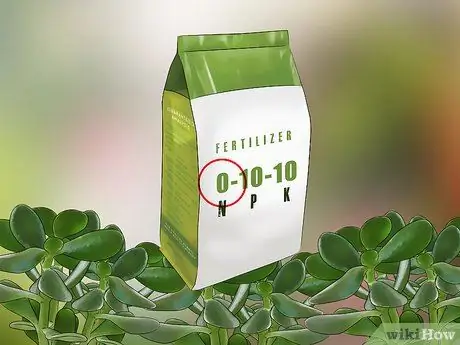 Убить мучнистых червецов Шаг 17