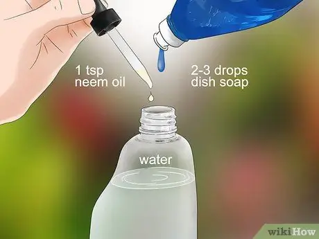Убить мучнистых червецов Шаг 6