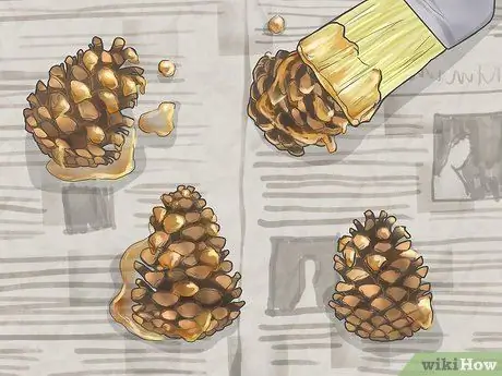 Консервировать шишки Шаг 13