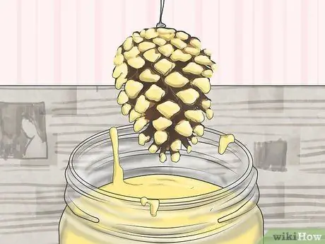 Консервировать шишки Шаг 15